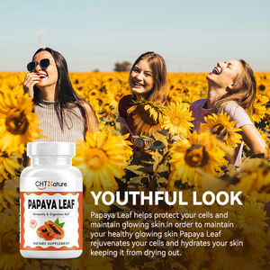 Chtnature Oem/Odm Voedingssupplement Papajavlaadextractpoeder 500Mg Papajakapsules - Product Image 4