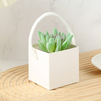 Boîte d'emballage en papier kraft Xiyu pour plantes vertes - Boîte en papier carrée miniature pour plantes succulentes en pot, imperméable et portable