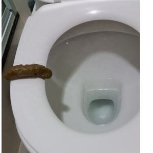 Artículos de broma de novedad, asiento de inodoro especialmente diseñado, Turd para broma - Product Image 2