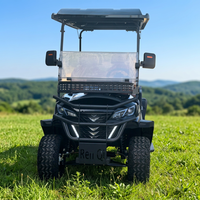 Voiturette de golf électrique avec pare-brise et toit, homologuée CE, fabrication sur mesure, livraison directe d'usine