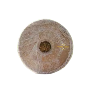 Granulés de coco biodégradables VietChoice Disques de culture de meilleure qualité pour les jardiniers - Product Image 5