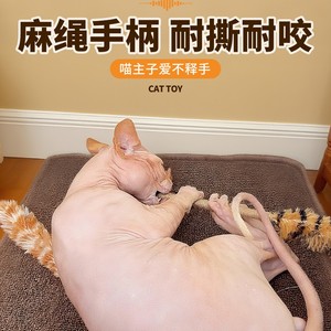 Realistic Feather Cat Teaser Durable <b>Bite</b> Resistant Toy For Kitten Play - Product Image 4
