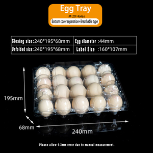 <span class=keywords><strong>2025</strong></span> <span class=keywords><strong>New</strong></span> Arrival trong suốt mạnh mẽ Pet nhựa rỗng khay trứng thiết kế trọng lượng nhẹ Stackable vỉ quá trình cho dễ dàng trứng lưu trữ - Product Image 5