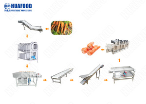 Linea di Pulizia Carote ad Alta Capacità per Produttori Industriali e Coltivatori Commerciali - Product Image 4