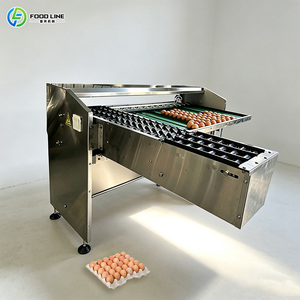 Classificatore di Uova per la Selezione e l'Ordinamento delle Uova di Gallina, Linea di Processo Automatica Professionale per la Classificazione delle Uova di Piccole Dimensioni - Product Image 2