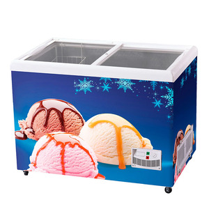 Congelador de Compresor para Exhibición Comercial de Helados - Product Image 3