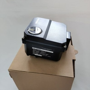 Control Digital Chino con NE700 NP700 - Product Image 4