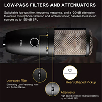 Microphone à condensateur à large diaphragme haute performance TNH P220, équipement de studio pour l'enregistrement, le streaming en direct et la diffusion