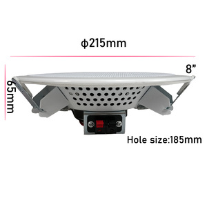 Altavoz de Techo Empotrado HAIQIANG <span class=keywords><strong>XD</strong></span>-TS304 de Alta Calidad, 70V/100V, 8 Pulgadas, ABS+Metal, Rango Completo, 20W, 2.0 Canales, 8 <span class=keywords><strong>MP3</strong></span>, para Cine en Casa - Product Image 5