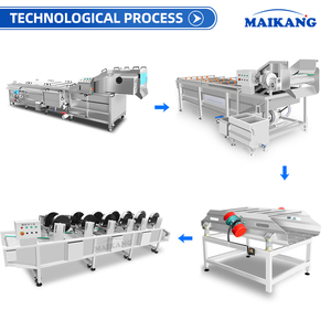 Chaîne <span class=keywords><strong>de</strong></span> blanchiment continu haute performance pour la pré-cuisson des asperges, des carottes et des oignons - Product Image 3