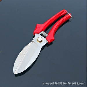 Jiulifeng Heavy Duty Garlic <b>Scissors</b> Stainless Steel 3.5 Blade Big Head Agricultural Use High Carbon Steel Lightweight <b>Kitchen</b> - Product Image 3