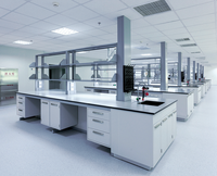 Table de laboratoire de haute qualité avec hotte intégrée et table de travail scolaire, banc de laboratoire, mobilier de laboratoire pour la recherche, établi de laboratoire