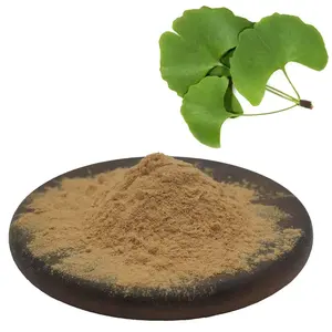 Topkwaliteit Ginkgo Biloba Blad Extract Poeder Ginkgo Biloba L. Poeder