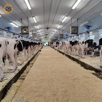 Establo Prefabricado de Diseño Moderno con Estructura de Acero Ligero para Ganado, Almacenamiento Agrícola y Cobertizos