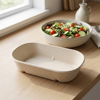 Boîte alimentaire jetable en bagasse de canne à sucre, compatible micro-ondes, pour restaurants et usage domestique
