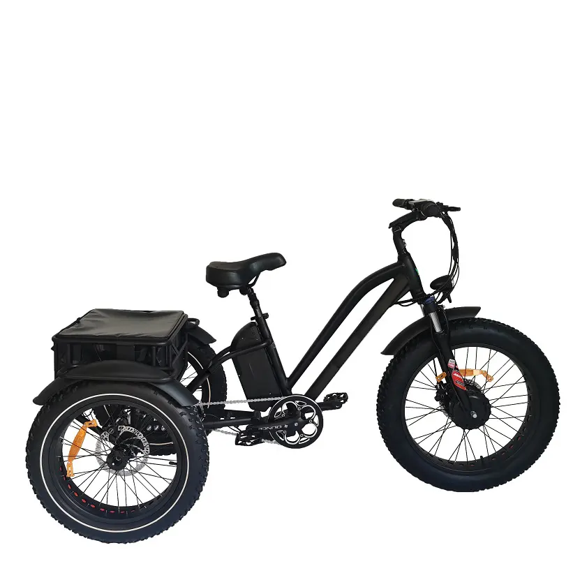 دراجة ذات 3 عجلات كهربائية ذات إطارات سميكة دراجة كهربائية للشاطئ بجهد 48 فولت 750 وات دراجة كهربائية ذات إطار للنقل ثلاثي العجلات دراجة كهربائية