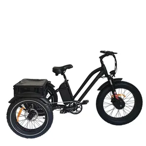3 Wheel Electric Fat Tire Bike 48v 750w Beach Electric Tricycle 3 Wheel Cargo Frame Electric Bicycle E Bike