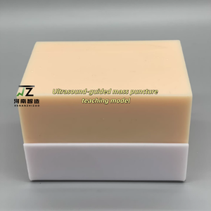 แบบจำลองการสอนการเจาะเนื้อเยื่อภายใต้การนำทางด้วยอัลตราซาวด์ (สีผิว) - Product Image 1