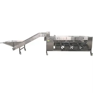 הנחה מחיר טרי המורינגה כביסה וייבוש מכונה פירות ירקות כביסה מכונת חיתוך מכונת, ירוק קל לשטוף - Product Image 1