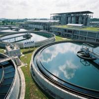 Polyacrylamide Anionique PAM 20 Ans d'Expérience, Fabricant Professionnel, Polymère Soluble dans l'Eau, Floculant 99%, Produits Chimiques pour le Traitement de l'Eau