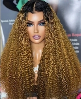 Perruques Lace Front Wigs naturelles invisibles, cheveux humains crépus bouclés doux, couleur 1B/27, densité 400%