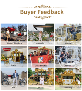 Chariot de mariage électrique à chevaux OEM spécial transport, couleur or, sculpture royale - Product Image 5