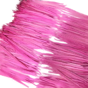 Blanqueo y teñido ringneck faisán cola de <span class=keywords><strong>plumas</strong></span> - Product Image 5