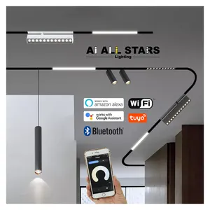 Profesyonel özelleştirme ticari akıllı bluetooth kısılabilir manyetik LED çalışma aydınlatma ayarlanabilir LED ray lambası