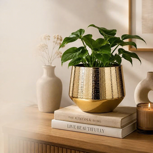 Maceta Moderna de Lujo, Metálica Dorada, con Acabado Martillado, Redonda, para Plantas Verdes de Interior, para Escritorio - Product Image 2
