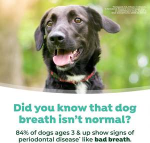 Aditivo para el Agua para Perros, Refrescante del <span class=keywords><strong>Aliento</strong></span> y Solución de Limpieza Dental, Sin Necesidad de Pasta Dental ni Cepillo de Dientes - Product Image 6