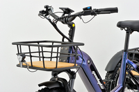 Tricycle électrique cargo avec moteur sans balais 250W, pneus larges, batterie lithium 48V 15Ah, panier avant, suspension hydraulique et verrou de sécurité.