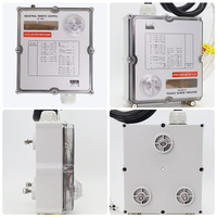 Control Remoto Industrial de Parada de Emergencia, 14 Botones, Velocidad Única, Clasificación IP67, Anti-interferencias, para Grúa Pórtico Exterior