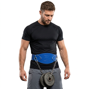 Cinturones de Gimnasio Power Gym, Precio de Fábrica, Cómodos, Ajustables, Resistentes, Ligeros, para Entrenamiento de Levantamiento de Pesas, con Hebilla Antideslizante - Product Image 1