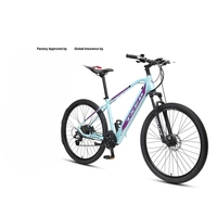 Offre Spéciale 36V 250W VTT électrique adulte de haute qualité 29 pouces vtt avec batterie au lithium forte vente en gros d'usine