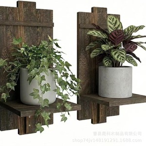 Wooden <b>Wall</b> <b>Mounted</b> <b>Shelf</b> Rectangle 1 Tier Multipurpose Living Room Storage Rack For Plants And Decor - Product Image 5
