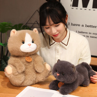 Peluche chaton mignon simulé, jouet en tissu doux pour filles et garçons, en coton PP lavé, design ODM, idéal pour soulager le stress