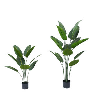 OH Arts Novo Design Traveler Banana Decoracao Interior Green Plant Pot Simulacao Viajante Banana Tree en venta - Product Image 6