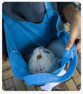 Lapin <span class=keywords><strong>renard</strong></span> mignon sac de chat portable pour sortir sac à main sac de chat, chiot peut montrer sa tête sac à bandoulière unique - Product Image 6