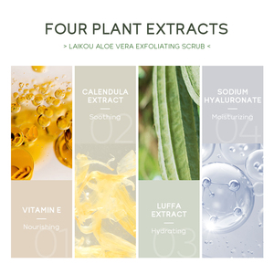 LAIKOU Aloe Vera Scrub corpo con pacchetto di vendita al dettaglio particelle naturali smerigliate rimuovere pelle ruvida pelle d'oca - Product Image 4