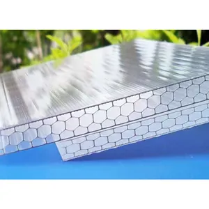 10 Years Warranty High Quality Twin-Wall Polycarbonate Hollow Roofing Sheet With UV Protection