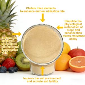 <span class=keywords><strong>Fertilizante</strong></span> en Polvo de Aminoácidos Orgánicos Puros al 40%, Hormona de Enraizamiento para Plantas, Bolsas de 25 kg de Productos Químicos Agrícolas - Product Image 3