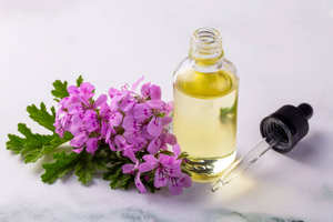 Aceite Esencial de Geranio Premium para Aromaterapia y Cuidado Personal, Aceite Botánico Destilado al Vapor para Difusor y Masajes - Product Image 3