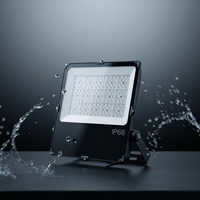Reflector LED IP66 SMD de Aluminio Fundido a Presión, 50W-300W, Portátil para Exteriores, Garantía de 5 Años, Guangdong