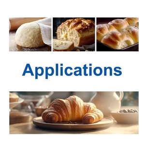 Cấp Thực Phẩm Xylanase Cho Bánh Cho Bánh Mì Khối Lượng Tăng & Bột Điều Hòa - Product Image 2