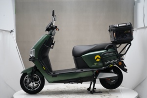Motocicleta Eléctrica EEC Garow de 1000w para Adultos, 2 Plazas, Scooter de Calle con Frenos de Disco, Batería de Plomo-Ácido de 72V para Desplazamientos Urbanos - Product Image 2