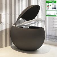 Oeuf noir 220v bidet intelligent toilette automatique intelligente pour les maisons