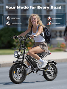 VARUN-Vélo électrique à grande vitesse, batterie au lithium de 48V, 13Ah, 250W, 25 km/h, pneu épais de 16 "* 4.0, compatible avec les normes européennes - Product Image 2