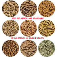 Nouvelle machine à granulés d'aliments pour animaux, équipement de granulation à petite échelle pour la production domestique, destiné à l'élevage de poulets, canards, lapins, porcs, bovins et ovins.