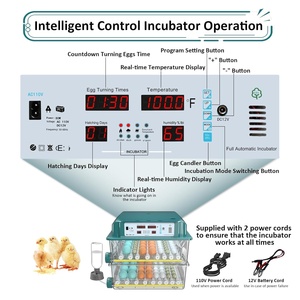 Incubadora de huevos automática Chalixion Capacidad de incubación de huevos 120 5 modos automáticos Control de temperatura de humedad 5 días de incubación - Product Image 6