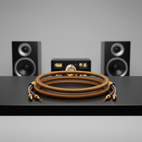 Câble audio pour haut-parleur HIFI personnalisé DAJIANG OEM, amplificateur stéréo haut de gamme, gaine en PVC tressée, OCC haute pureté, banane plaquée or